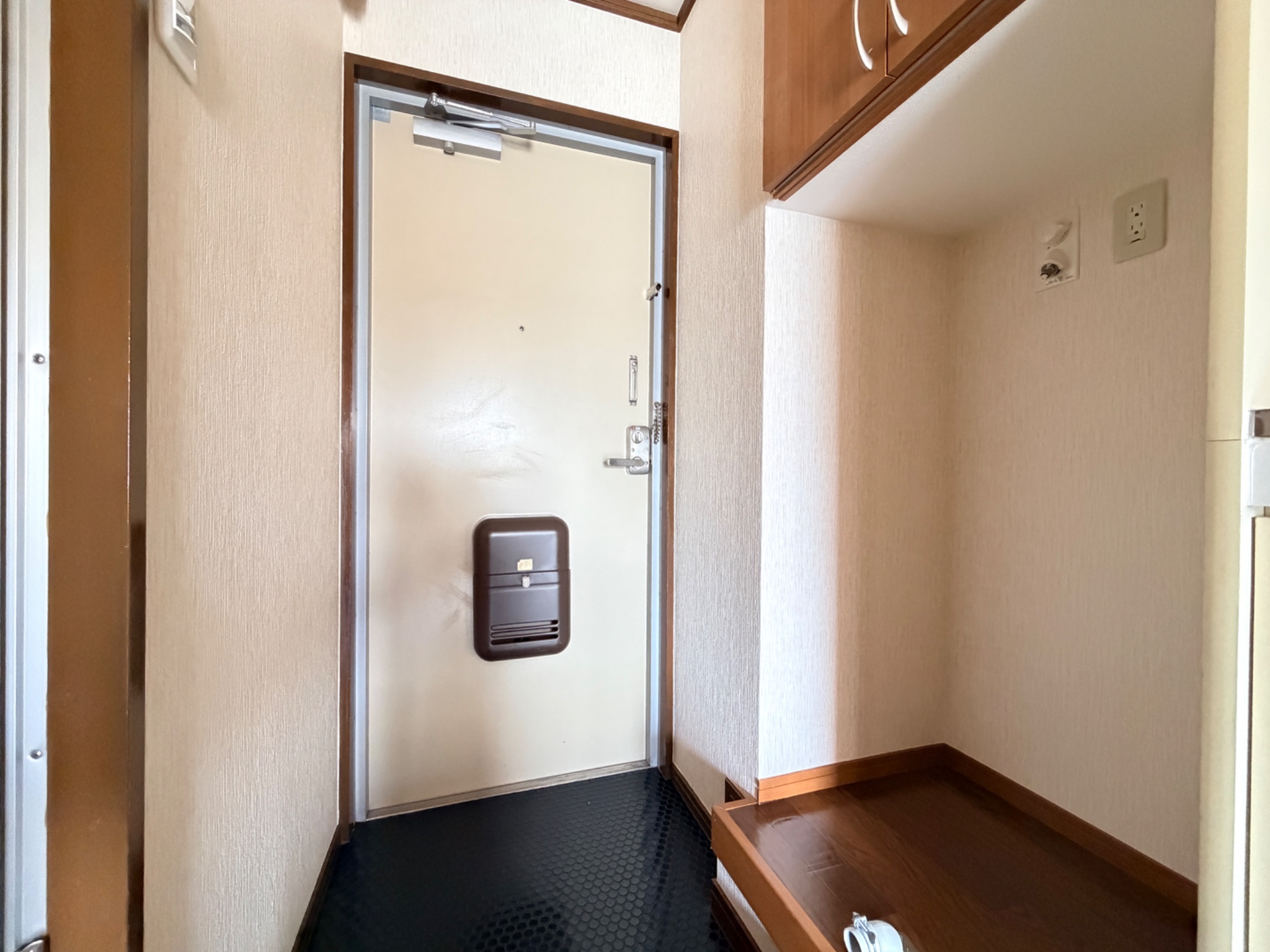 ステラハウス５ 玄関