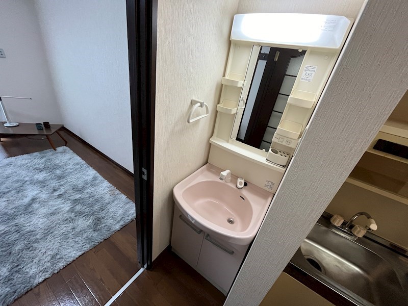ステラハウス4-1000 洗面所