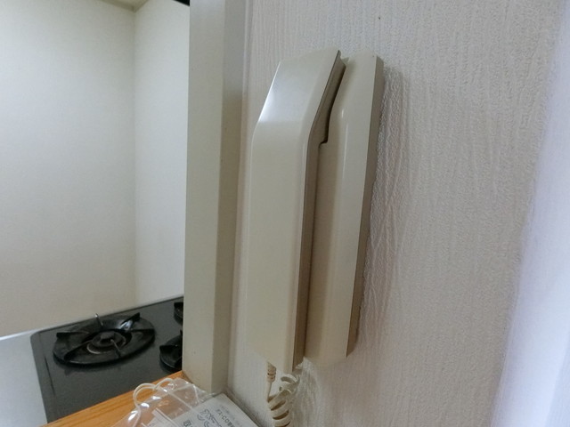 パルピアマンション セキュリティ