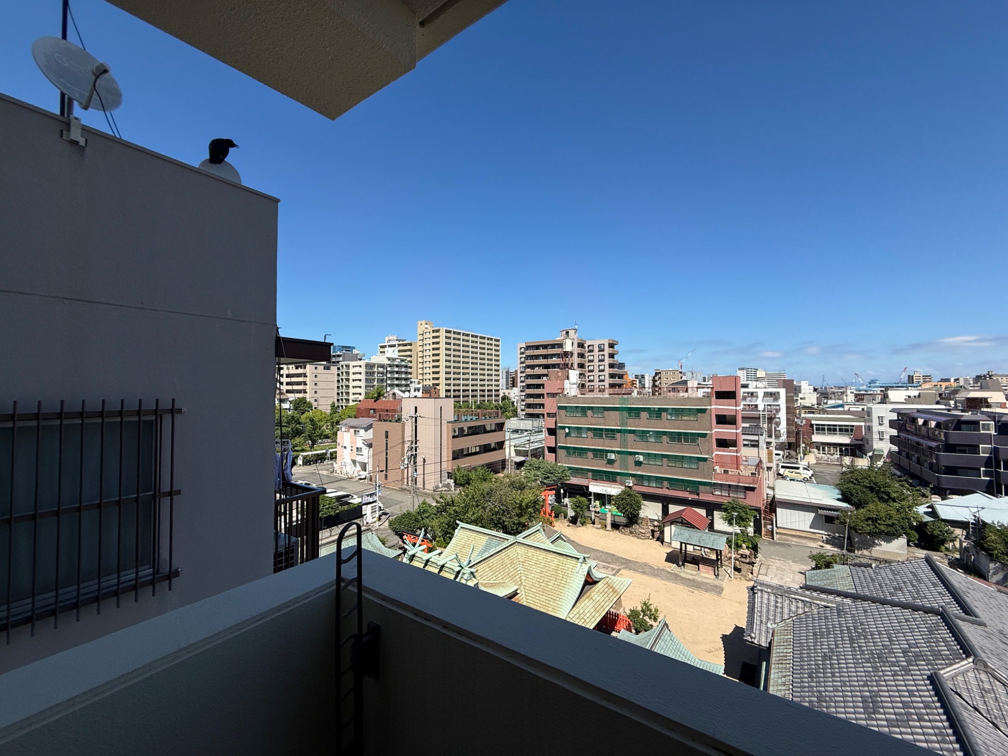 PRIMAVERA KOBE その他