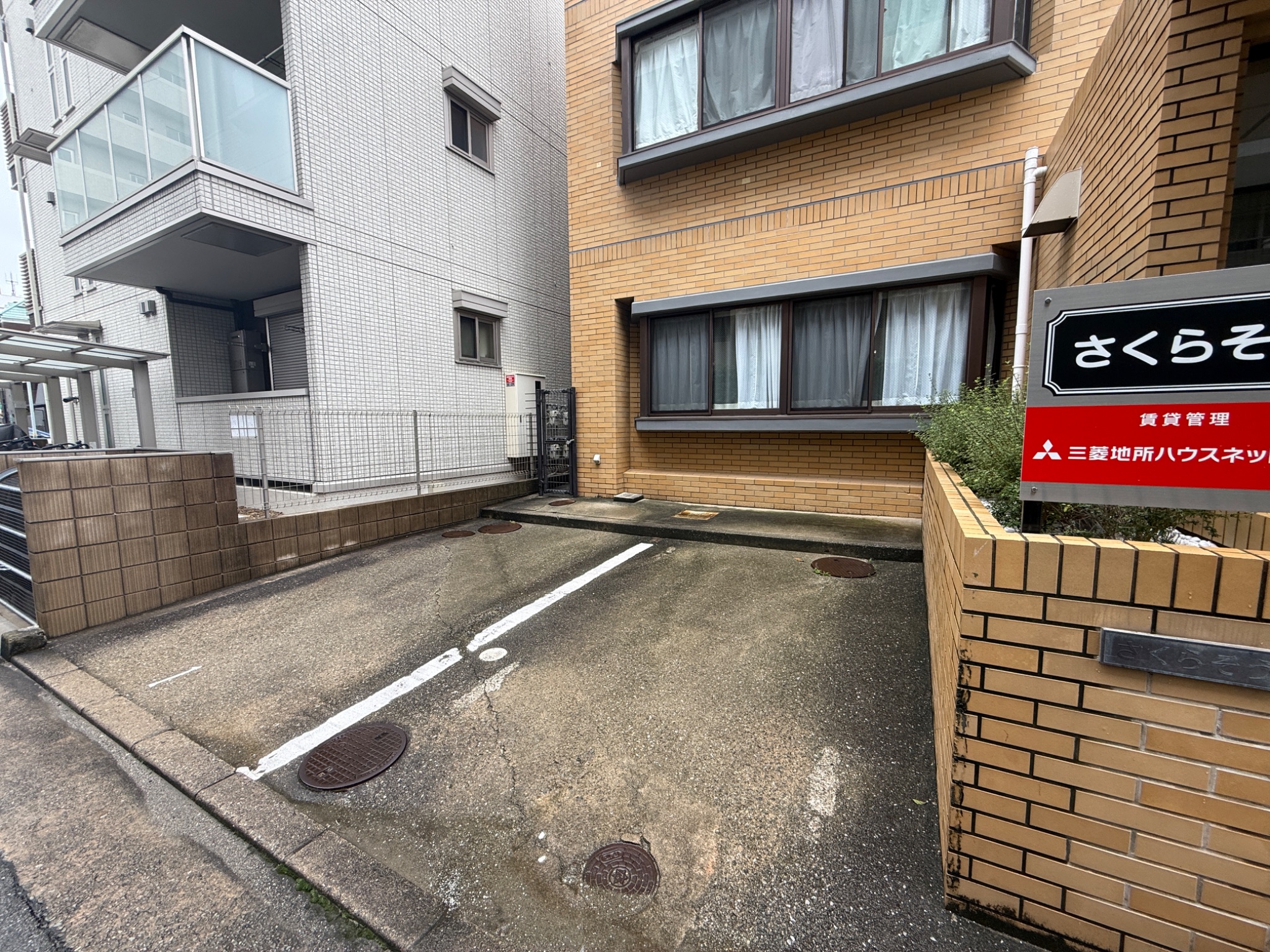 さくらそう その他