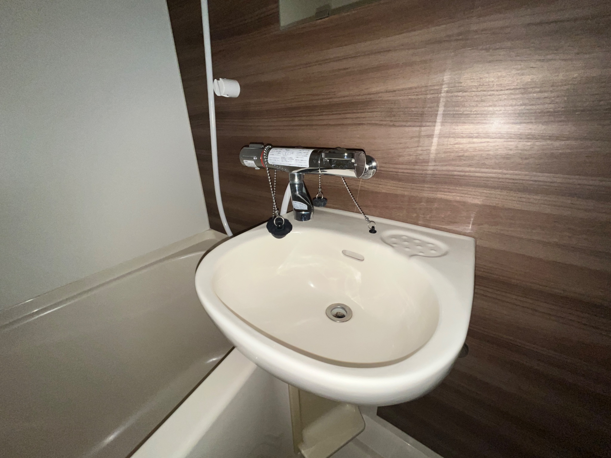 シャルムメゾン本庄 洗面所