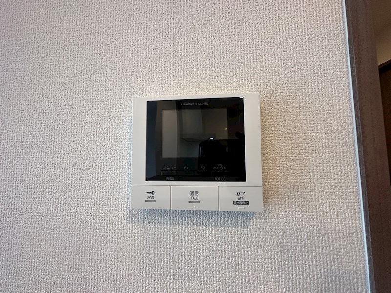 エレナ本山 その他