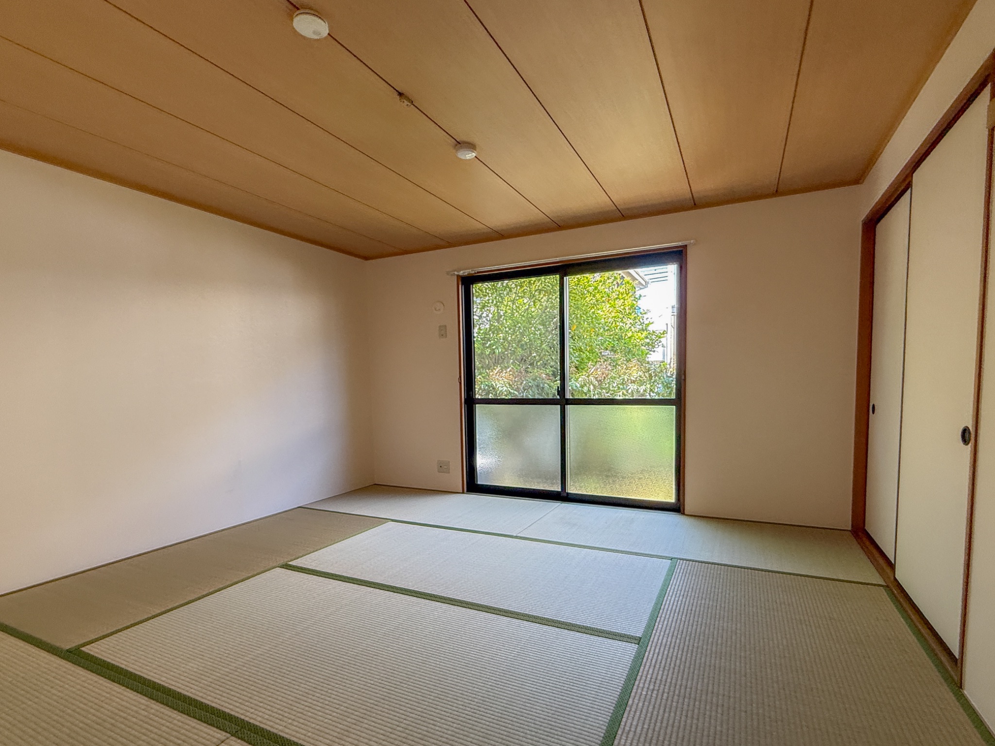サンシャイン池上 その他