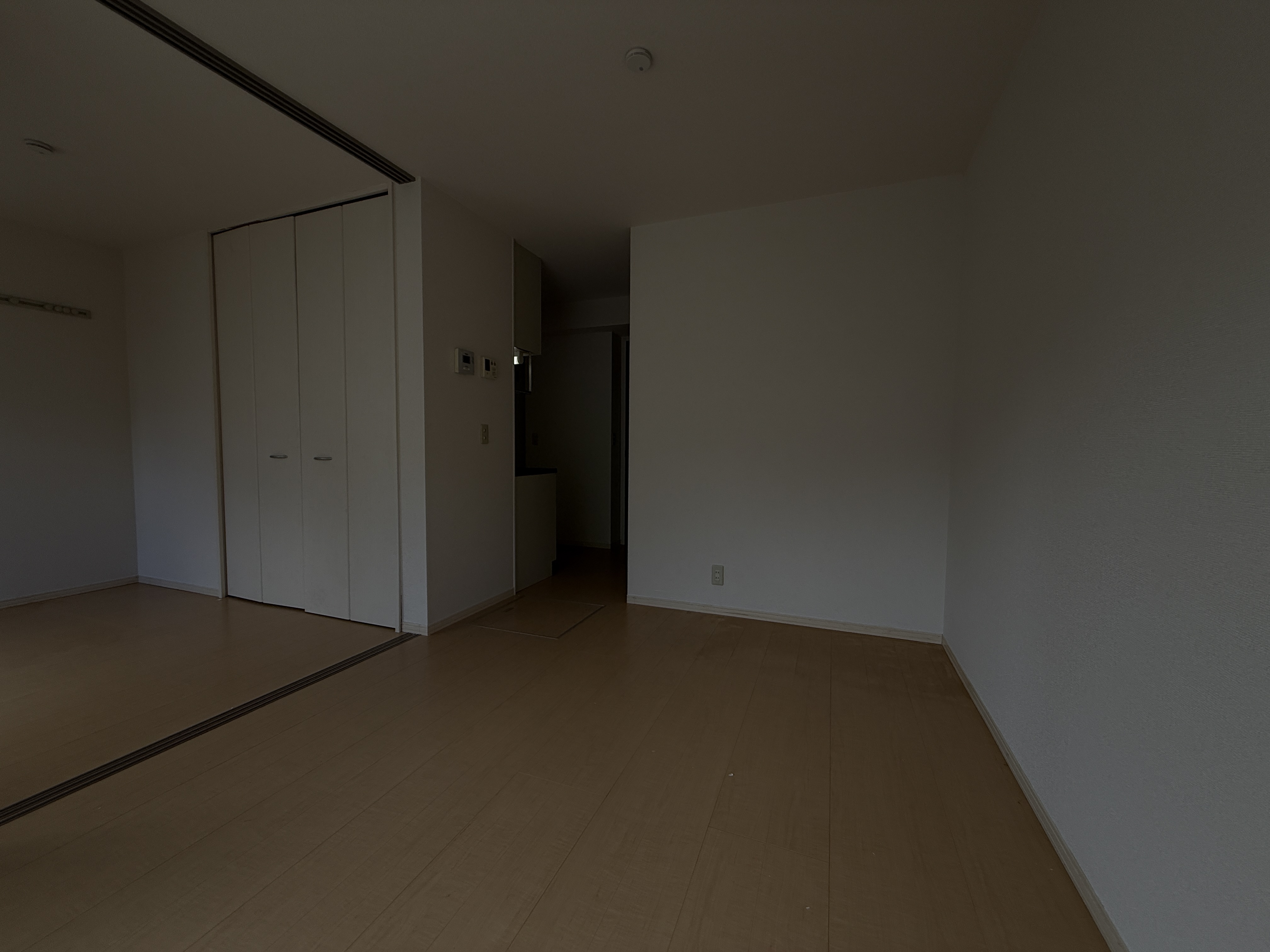 ラフィーネ林3 その他
