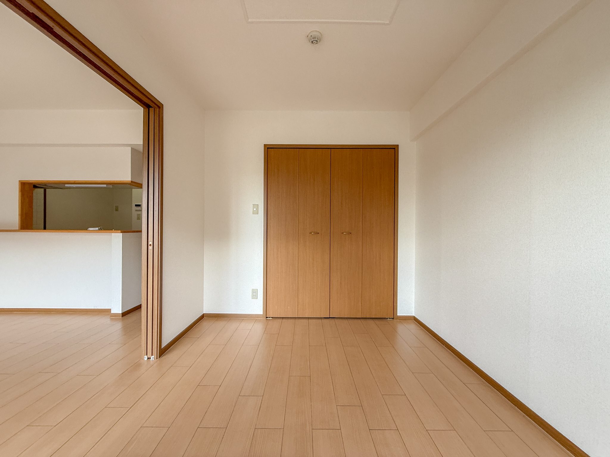 エクセランビラ その他