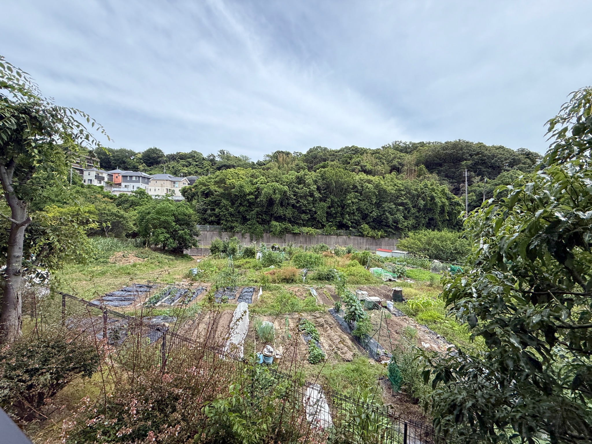 兵庫県神戸市垂水区下畑町 眺望