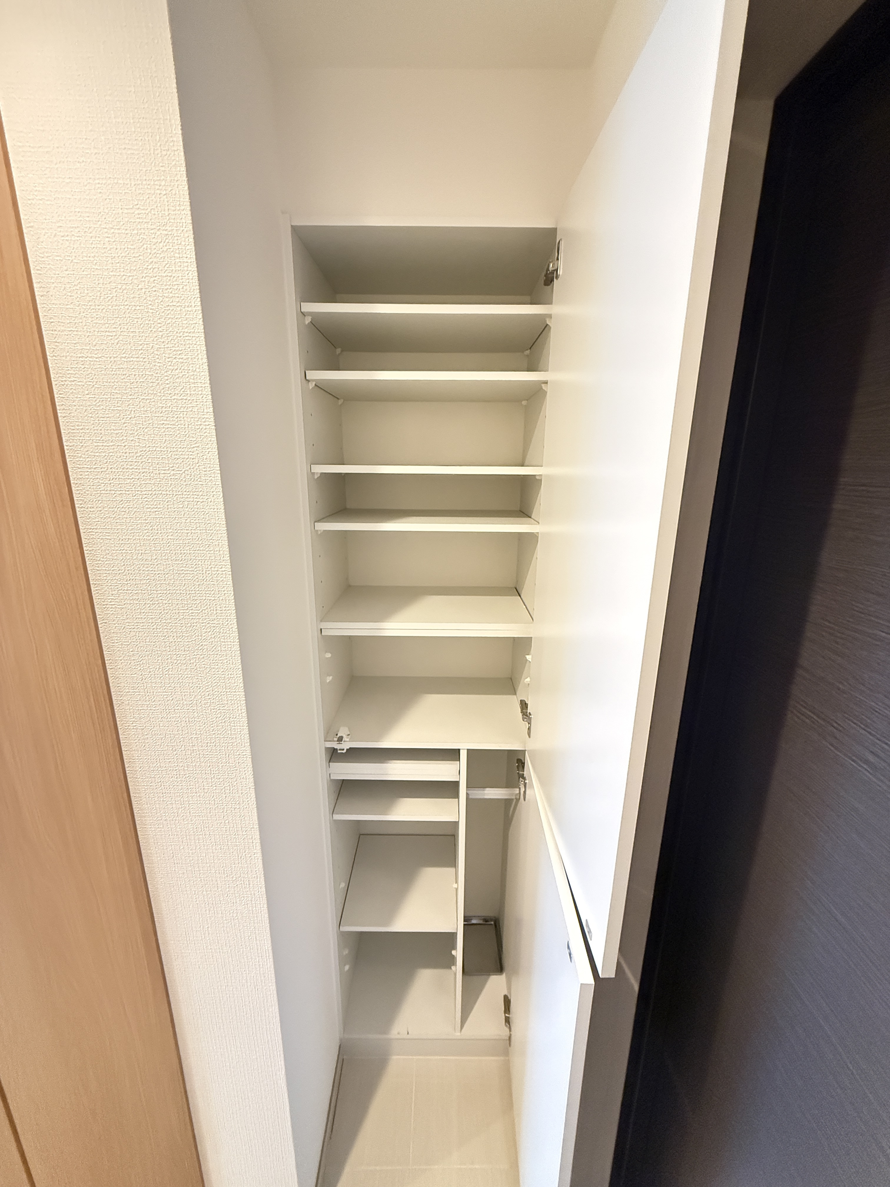 ＳＯＬ その他
