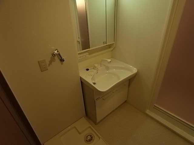 ワコーレアルテ上筒井 洗面所