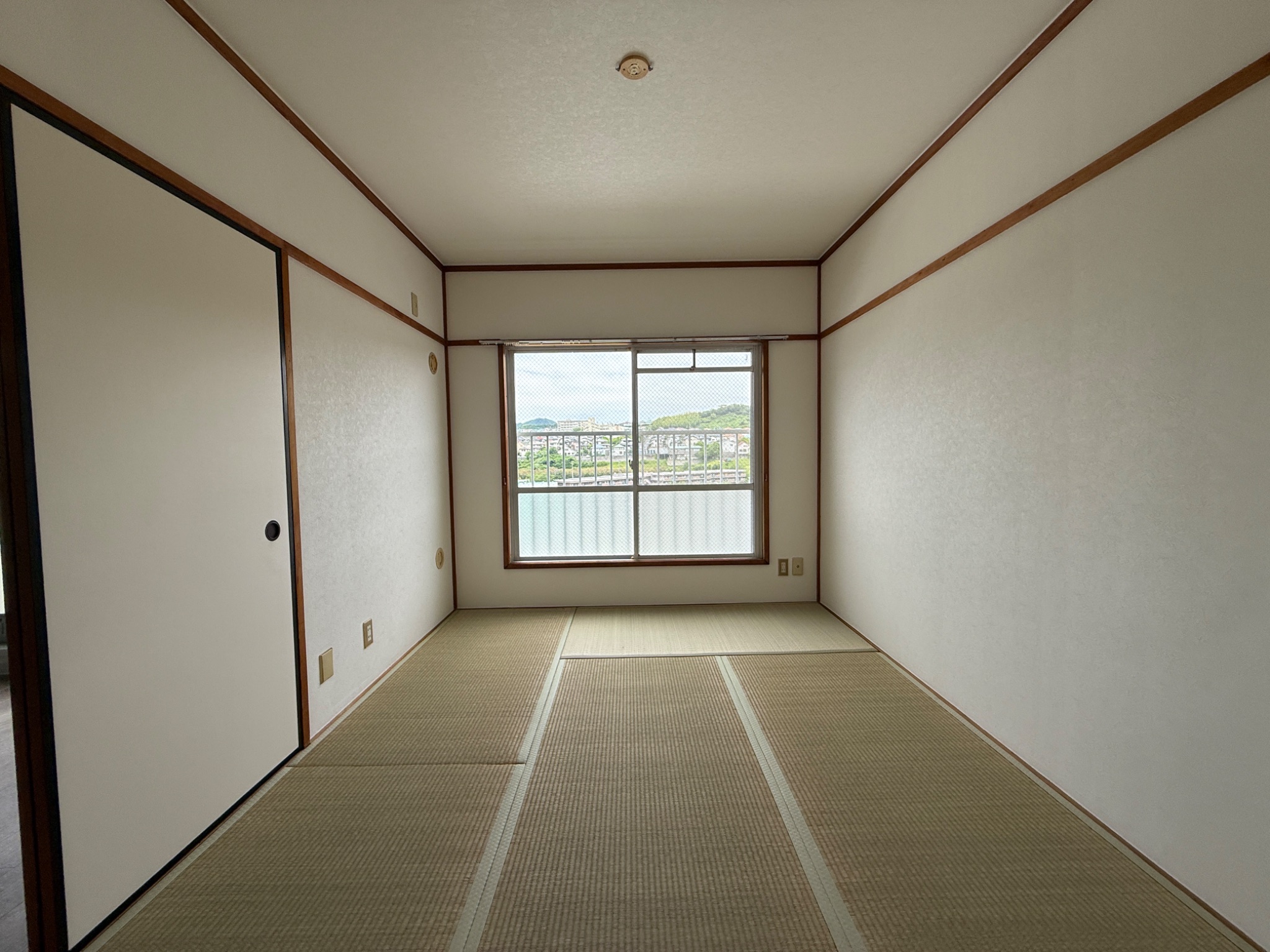 イリノハイツ その他