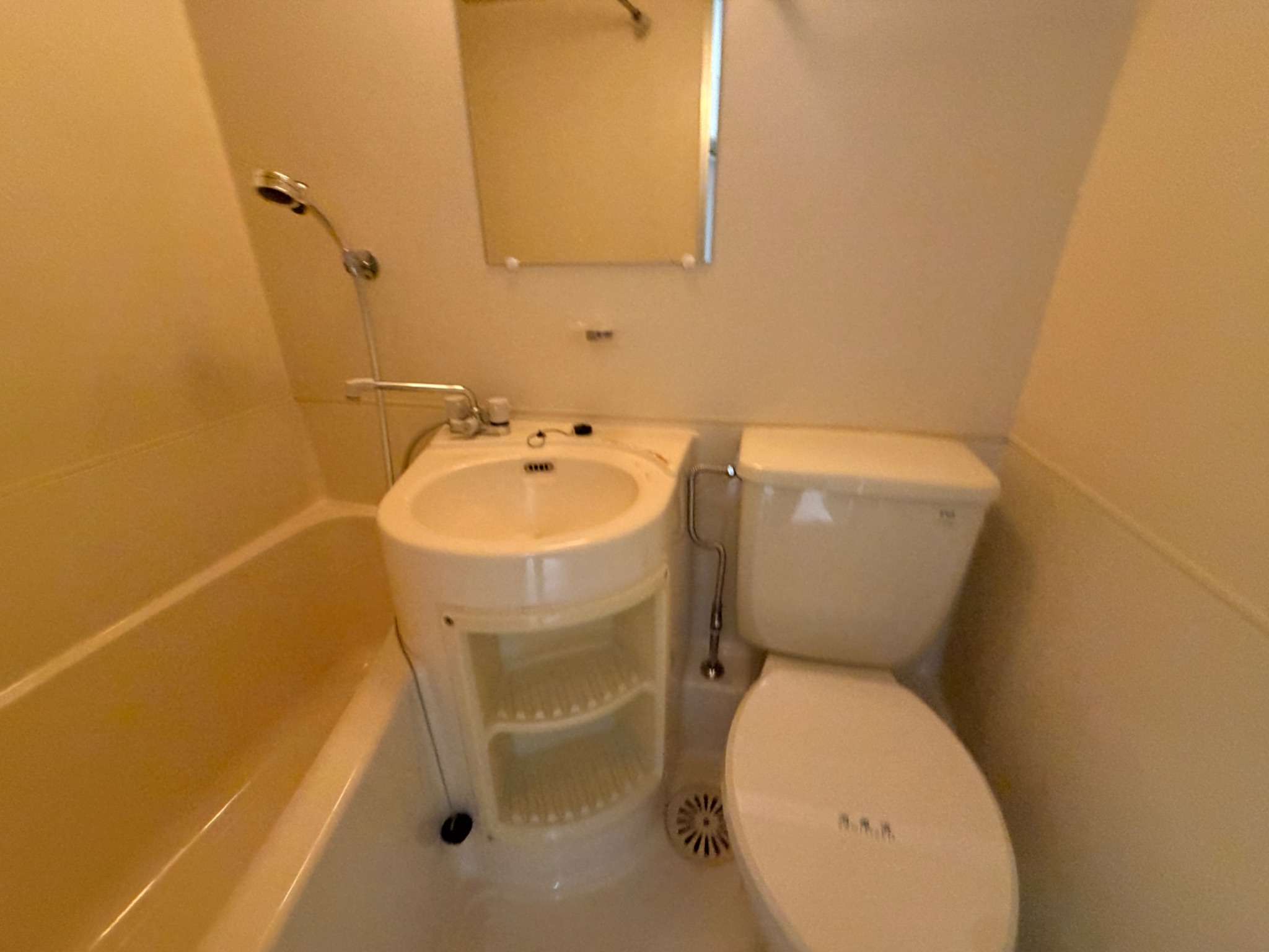 ライフイン芦屋弐番館 洗面所