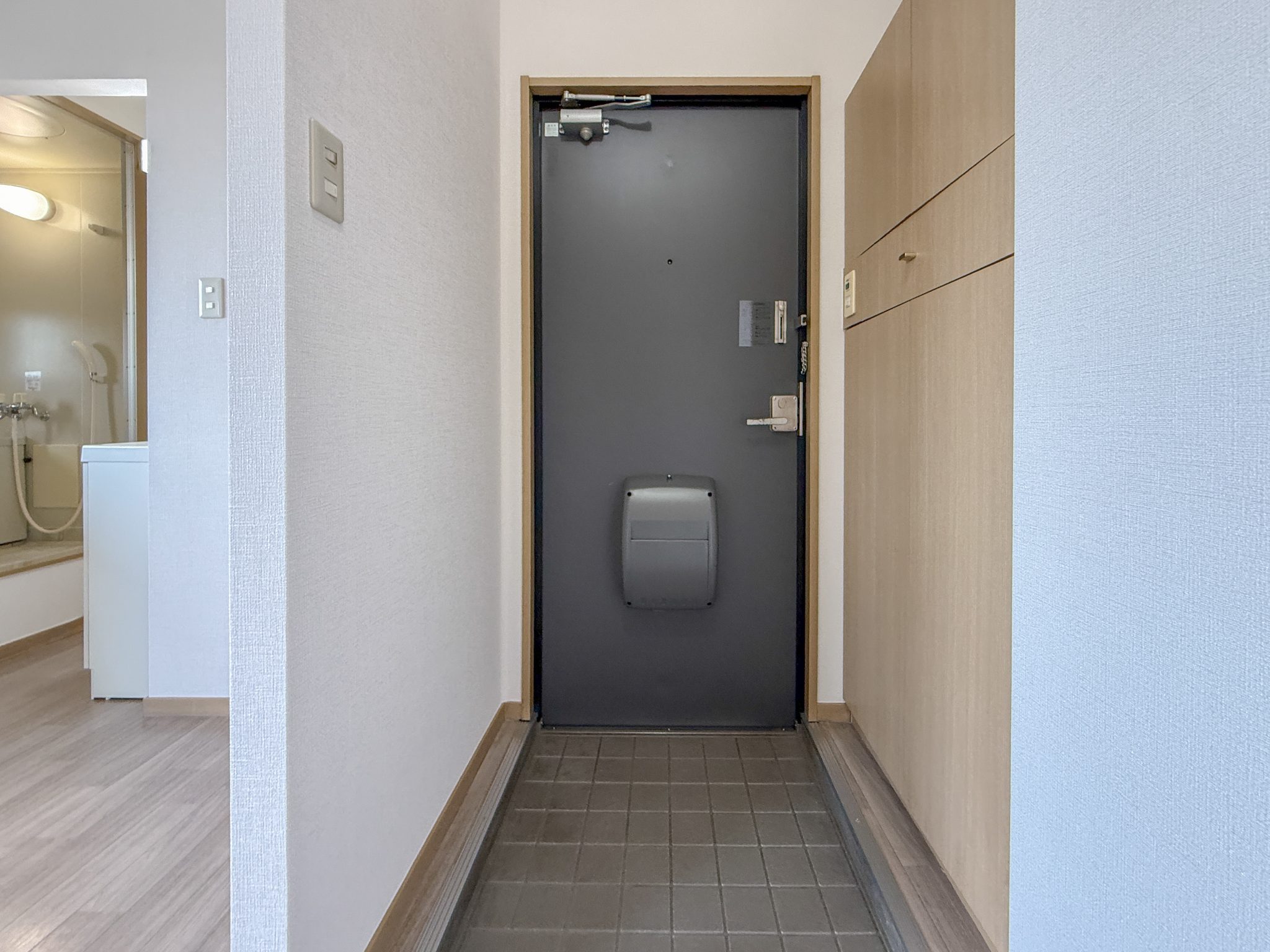サンビレッジ竹内D棟 玄関