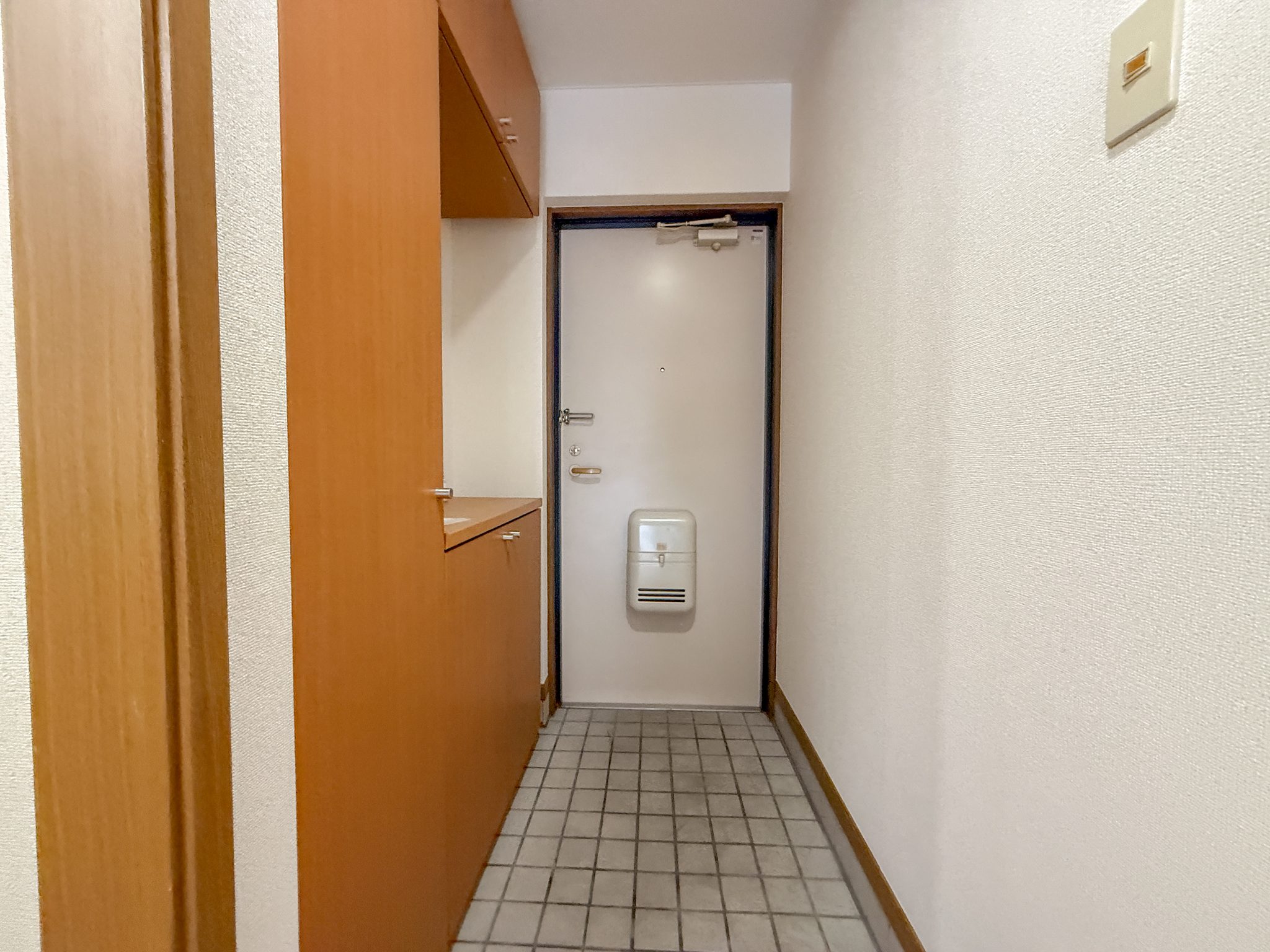 エクセランビラ 玄関