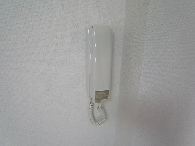 カーサフォルツァ セキュリティ