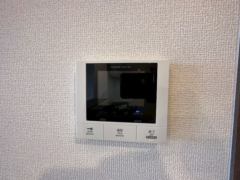 エレナ本山 その他