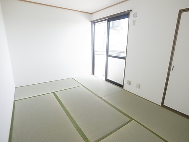 グレイス その他