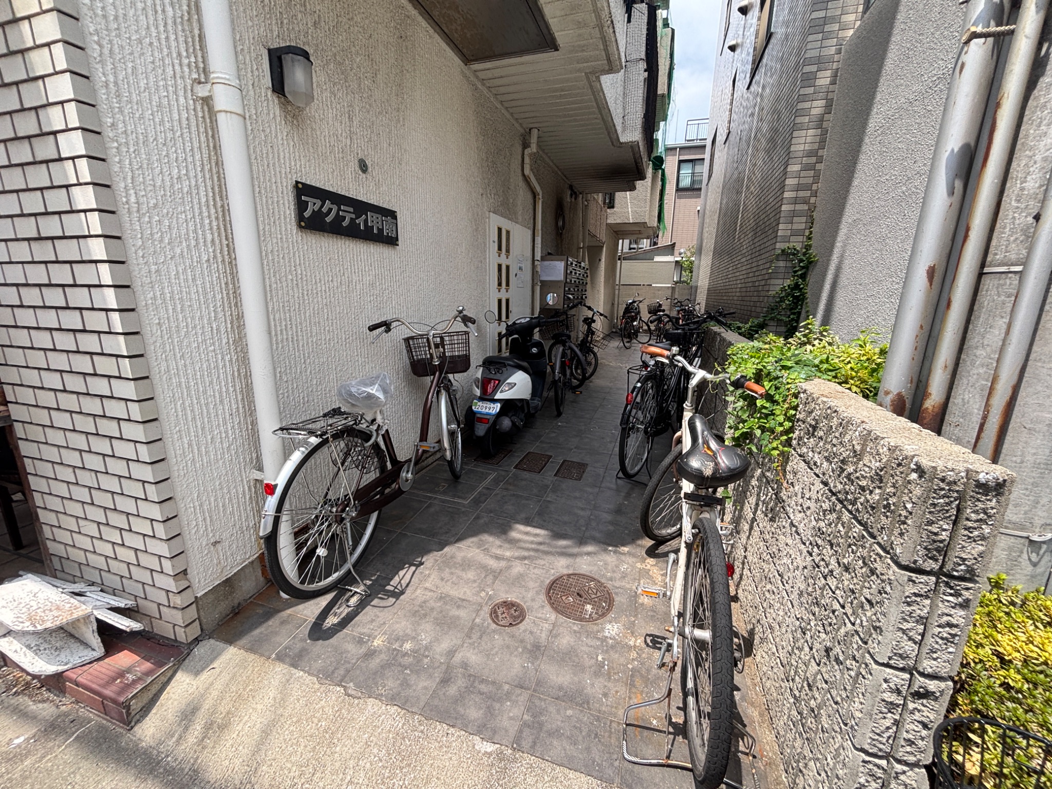 兵庫県神戸市東灘区魚崎北町５丁目 エントランス