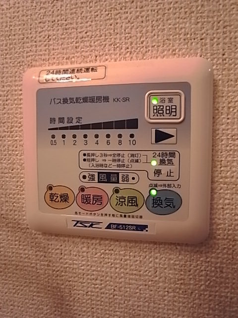 サン・フローリッシュ その他