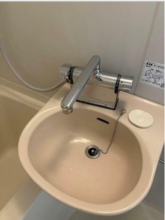 シルバーウェーブコートⅠ 洗面所