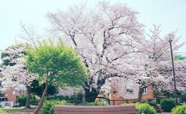 六会グリーンハイツ 公園