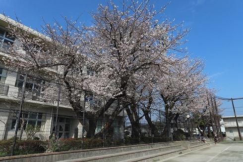 長後戸建貸家 中学校