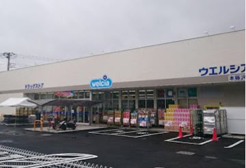 グリシーヌ ドラッグストア