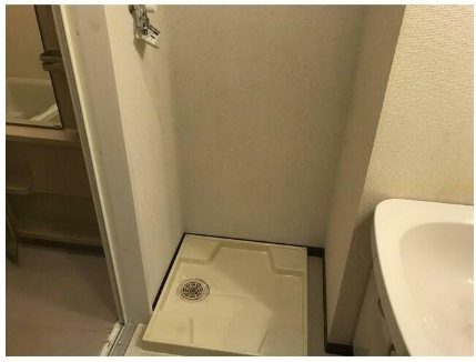 風の森 その他