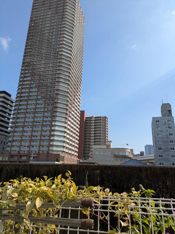 クレアジオーネ中之島西 眺望