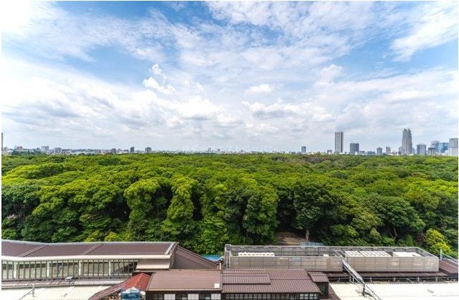 ウィズ原宿レジデンス 眺望
