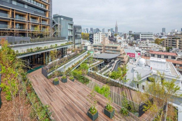 ウィズ原宿レジデンス その他