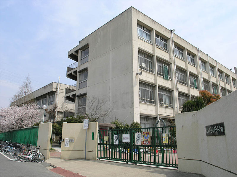 エルセレッソ 小学校