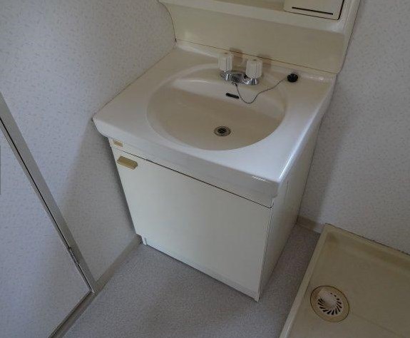 ラインプラザ本郷 洗面所