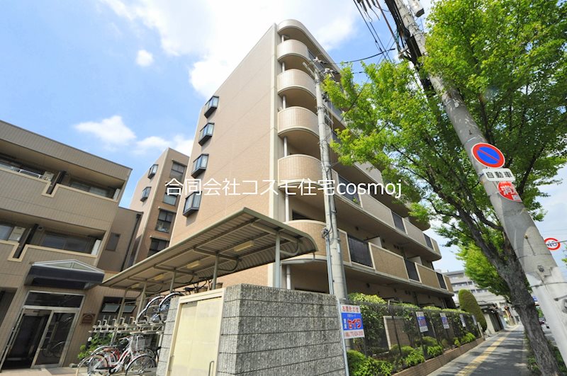 シャルマンシェソワ その他