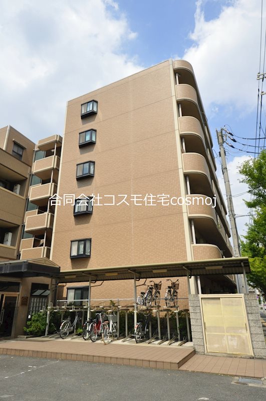 シャルマンシェソワ その他