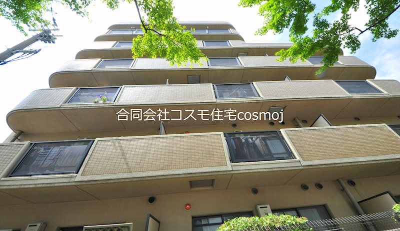 シャルマンシェソワ その他