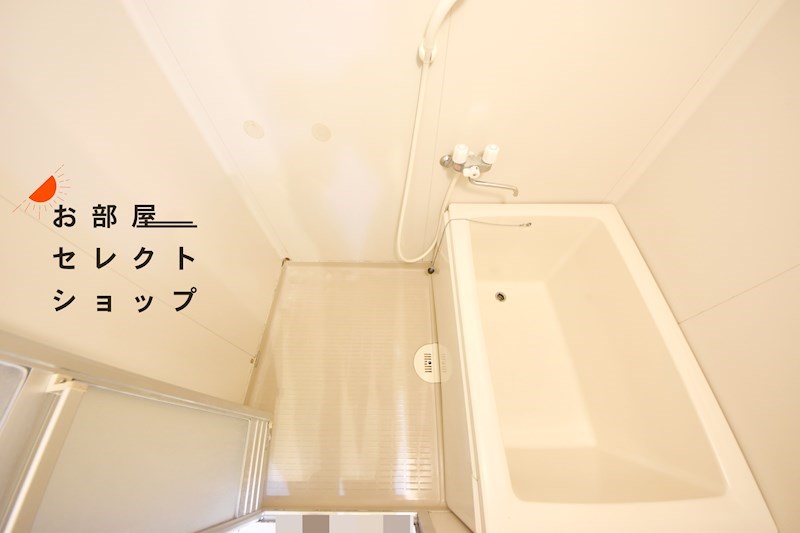 メゾンモチの木 風呂画像