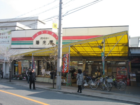 エオリアンハープ スーパー