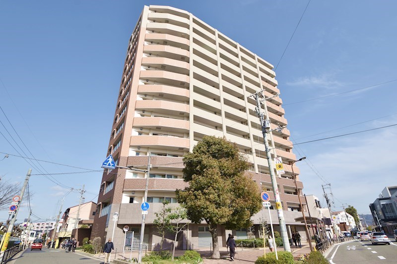 藤和八尾駅前ホームズ(安中町) 外観
