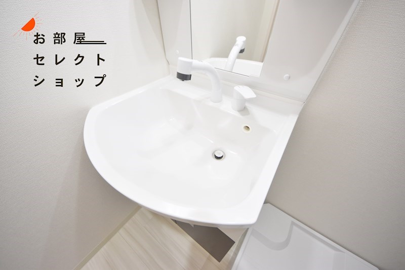 フジパレス教興寺3丁目 洗面所