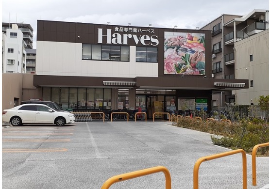 貸店舗・事務所　八尾市 山本町南１丁目　広さ約１０坪　観葉植物販売店跡　居抜き　路面店　※軽飲食相談可 コンビニ