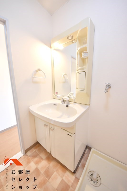 ニューエスポワール 洗面所