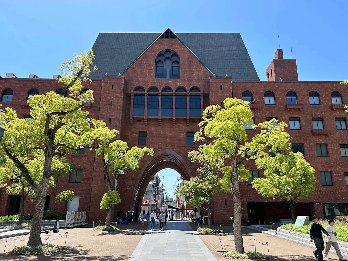 友井グレイス 大学・短大