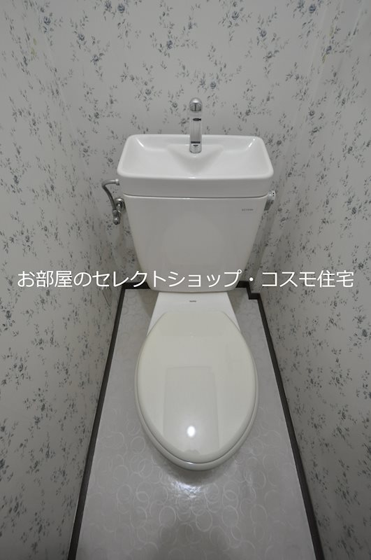 ヴィラサルーテ トイレ