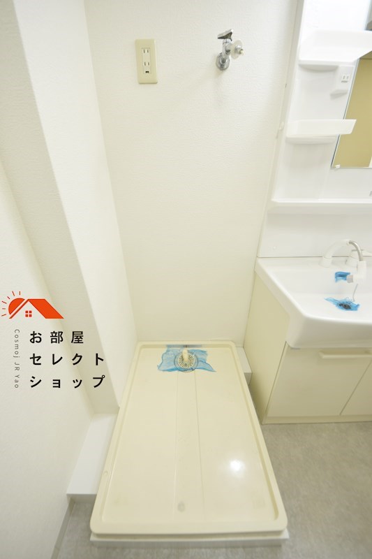 メゾン大邦 洗面所