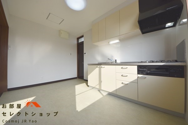 南太子堂5LDK戸建て キッチン