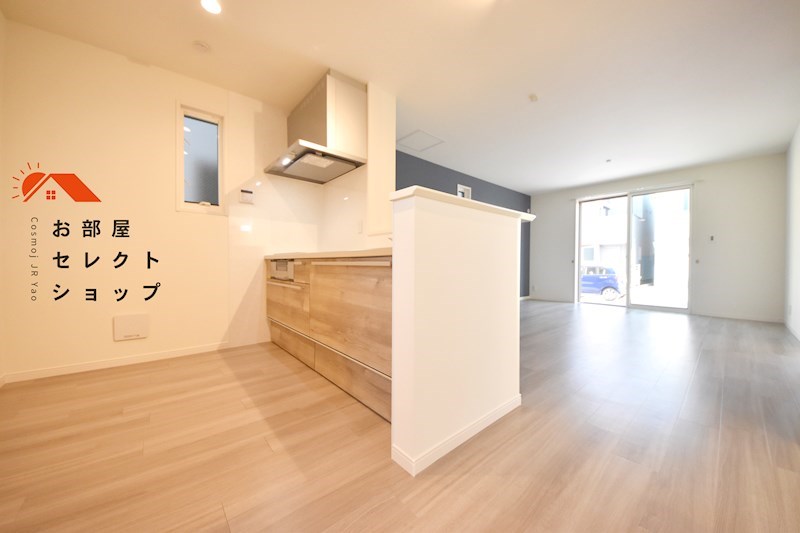 ティエラ恩智（ザ）フォレスト戸建（３LDK)  キッチン