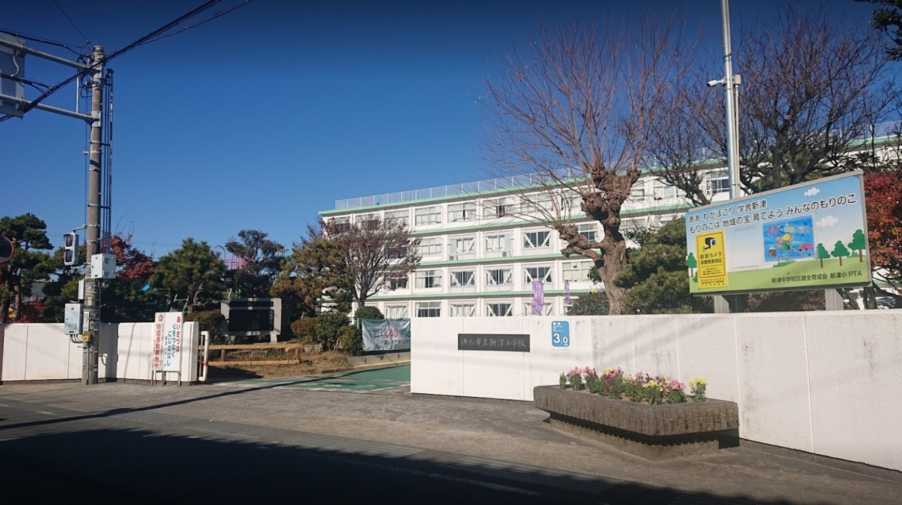 グレイス・ベル 小学校