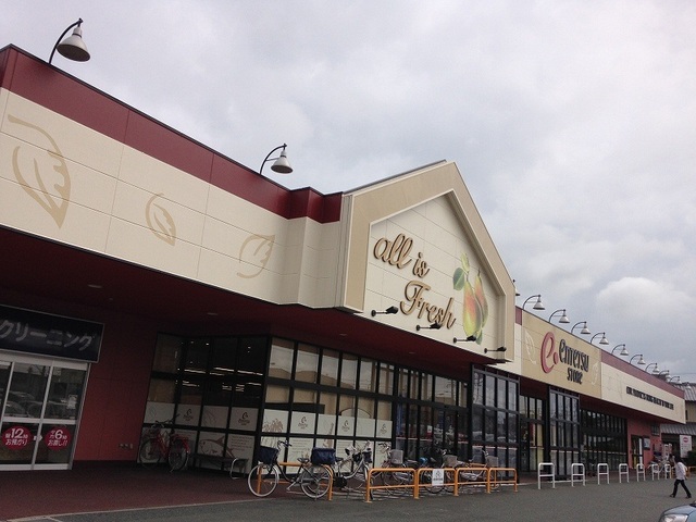 ヴィタ・ノーヴァ その他