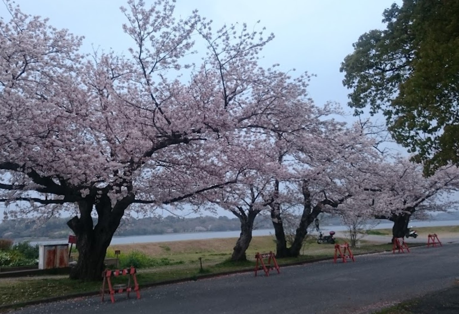 BelleVie 公園