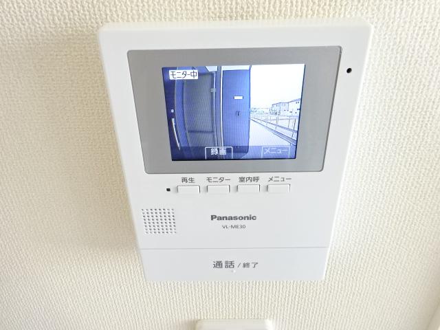 シーダー初生 その他